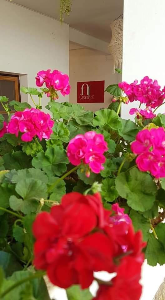 سامايباتا Hotel Casablanca المظهر الخارجي الصورة