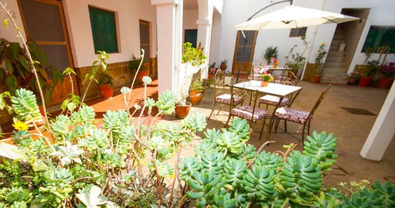 سامايباتا Hotel Casablanca المظهر الخارجي الصورة